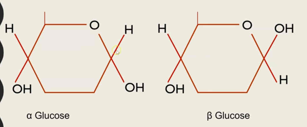 <p>The structure of alpha glucose and beta glucose</p>