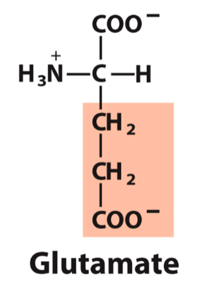 <p>What is the classification of this amino acid's R group?</p>