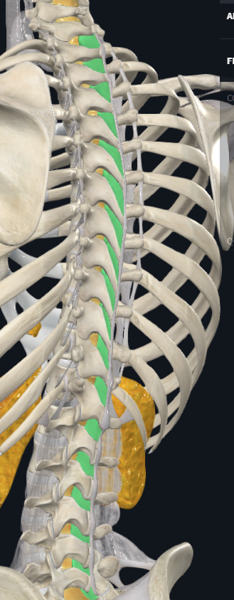 <p>What is highlighted</p>