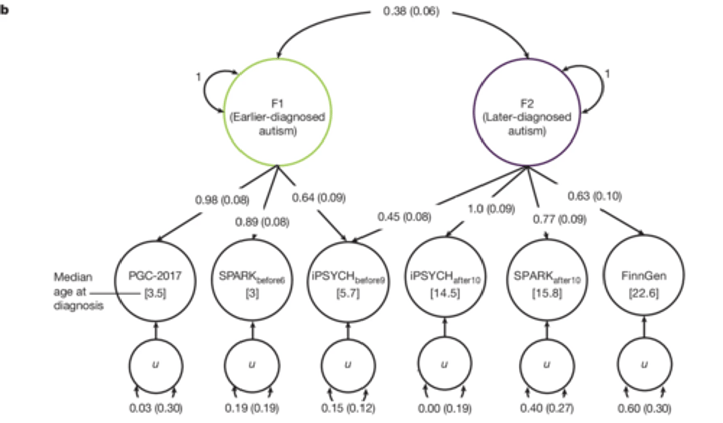 <p>- found that earlier-diagnosed autism and late diagnosed autism had different sex and genetic correlations</p>