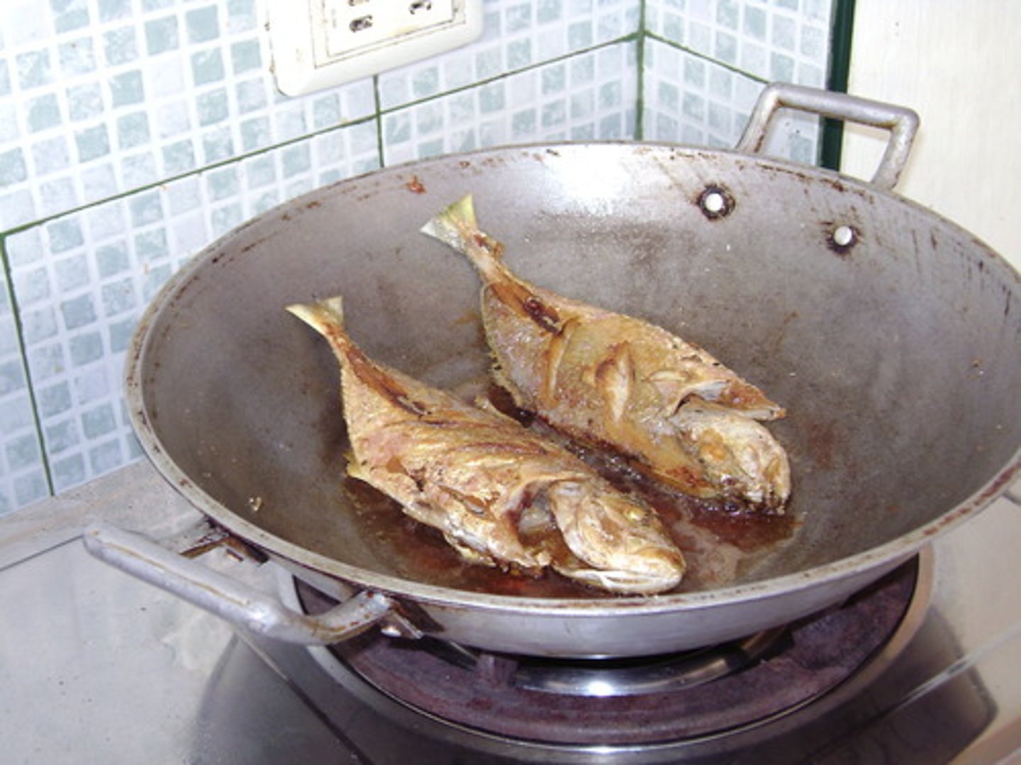 <p>fish</p>