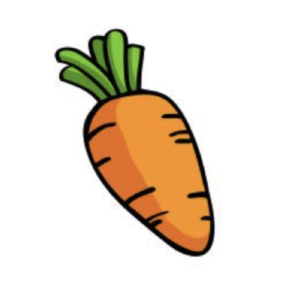 <p>What are three <strong>qualitative </strong>properties of this carrot?</p>