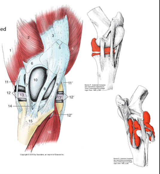 <p>Vilken led? Typ av led? Innehåll? </p>