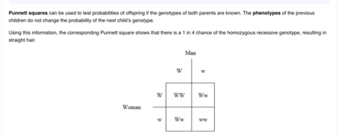 <p>E.Their next child has a 25% chance of having straight hair</p>