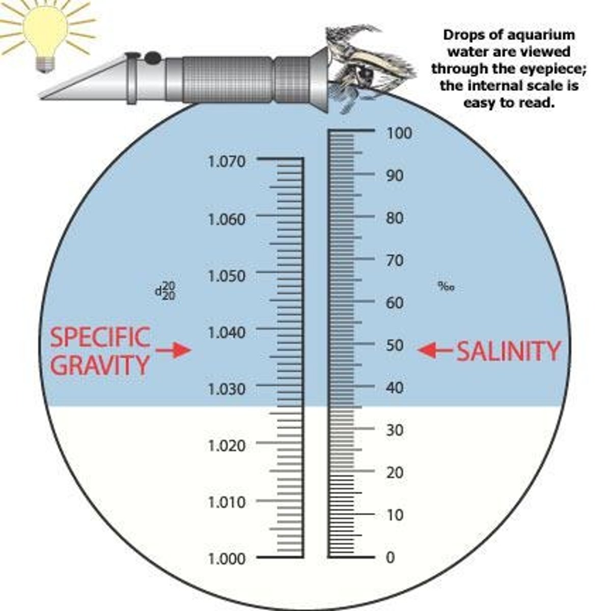 <p>Measures salinity</p>
