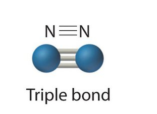 <p>What kind of bond is this?</p>