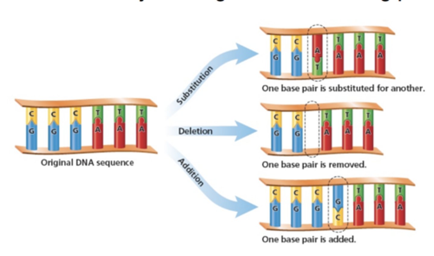 <p>Substitution</p><p>Deletion</p><p>Insertion</p>