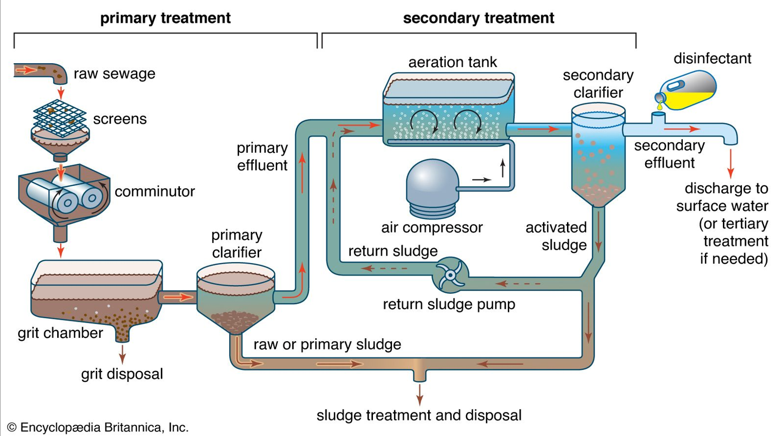 <p>Secondary treatment: diagram</p>
