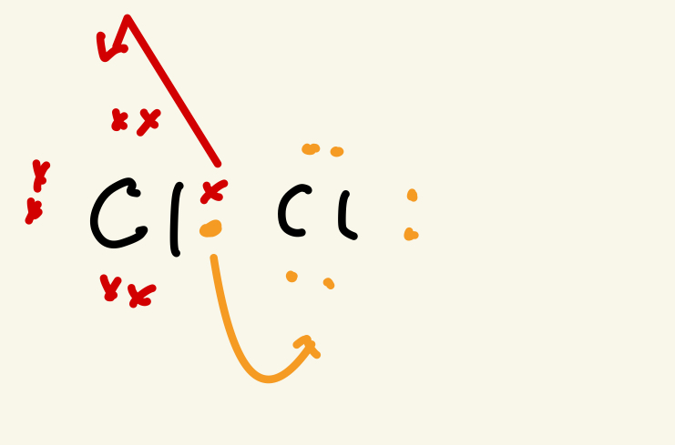 <p>The electrons are shared out equally making free radical</p>