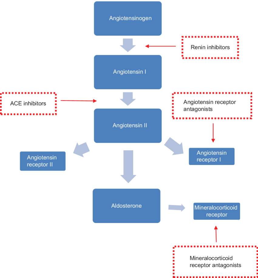 <ul><li><p>ACE-hämmare</p></li><li><p>ARB</p></li><li><p>Angiotensinreceptor-nephrilysinhibitor </p></li></ul><p>Även MRA → det räknas som diuretika. </p>