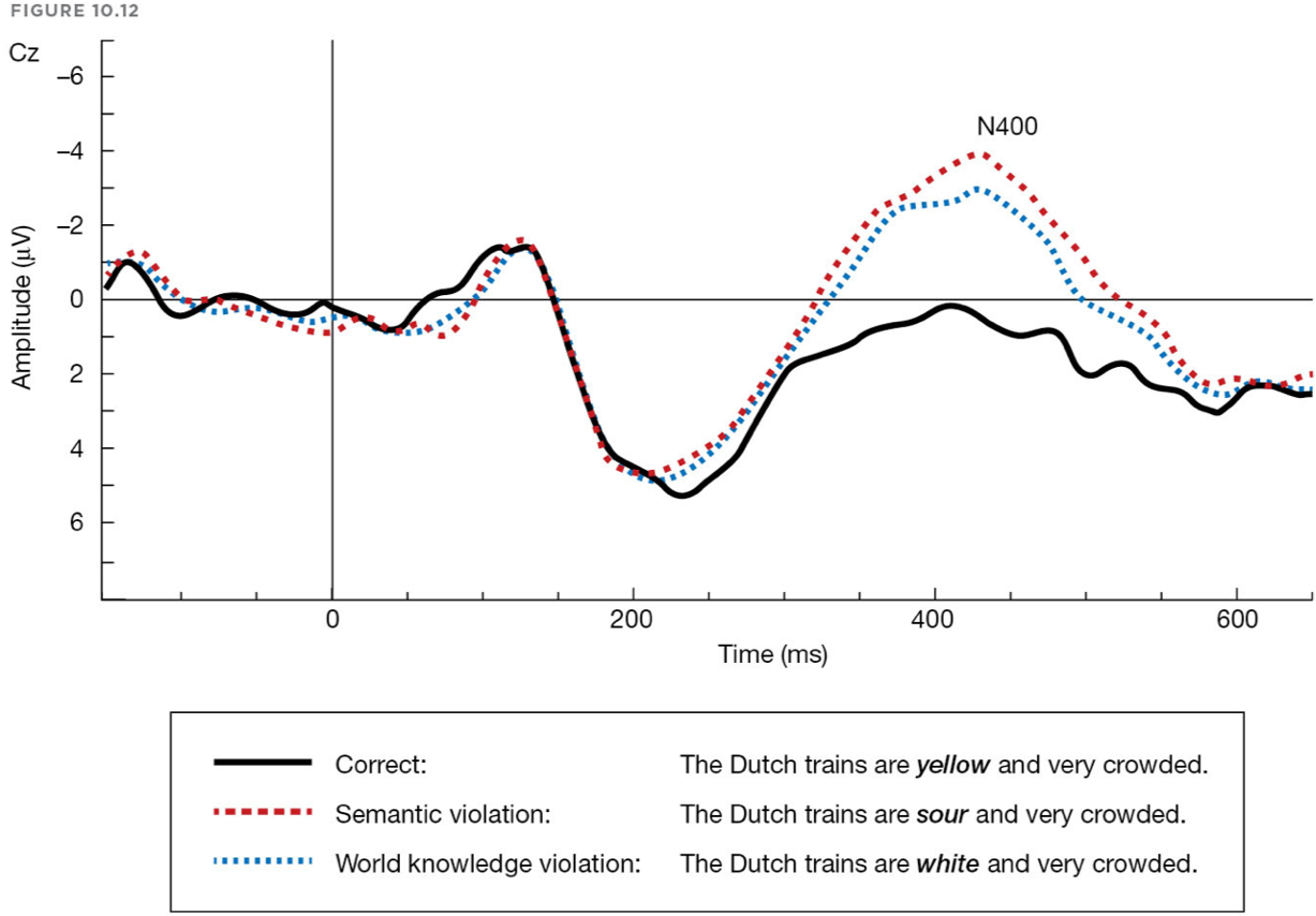 <p>Semantic Violation and the N400 ERP Effect</p>