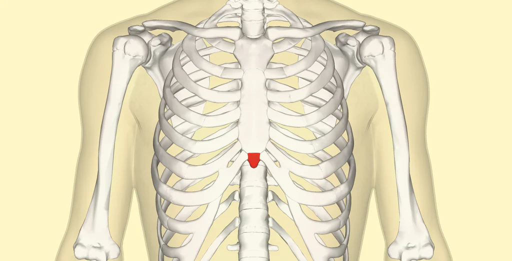 <p>?</p>