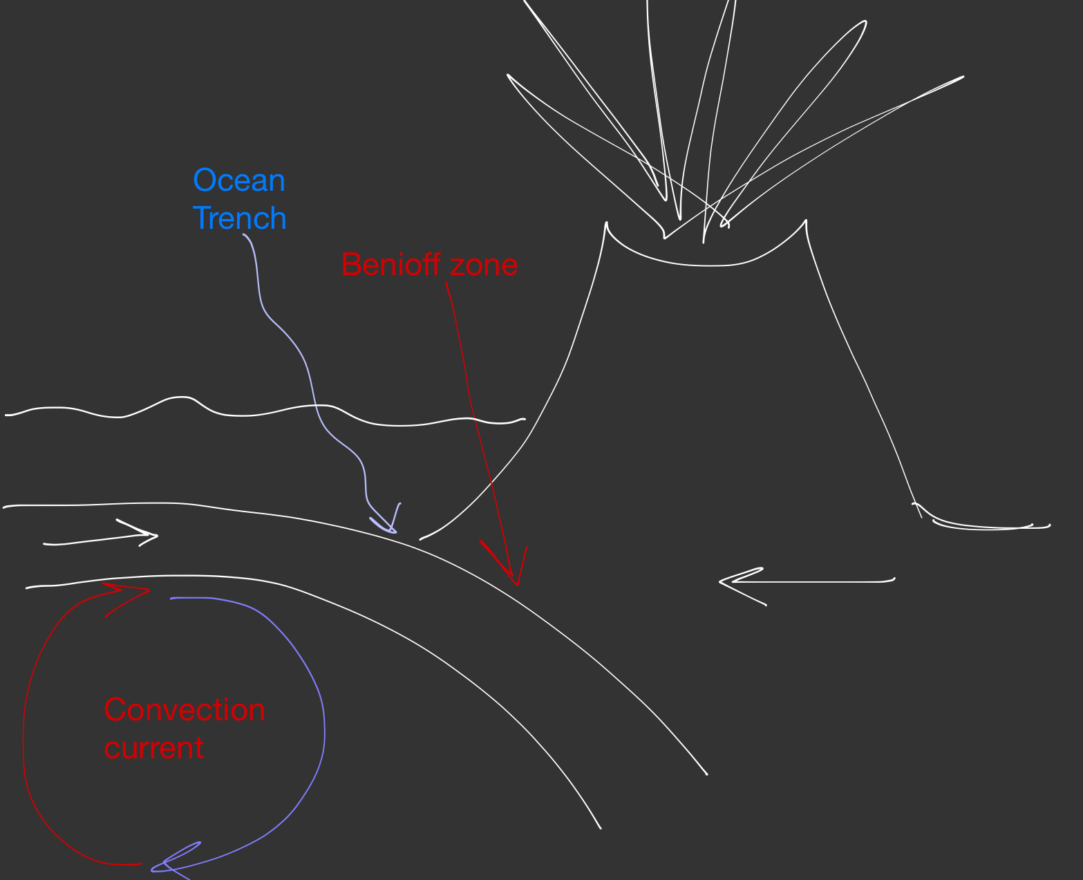 <ul><li><p>On convergence, the oceanic plate will subduct beneath the continental due to its higher density</p></li><li><p>At the point of subduction, an asymmetrical ocean trench is formed</p></li><li><p>Friction in the subduction zone → a buildup of pressure. The periodic release of this pressure causes intense seismic activity along the Benioff zone</p></li></ul><p></p><ul><li><p>The continental plate buckles and uplifts into fold mountain chains. The newly formed silica-rich magma from the melting oceanic plate has a low density and rises and squeezes its way up through faults in this overlying rock.</p><ul><li><p>So, some of the fold mountains become strato-volcanoes</p></li></ul></li></ul><p>Example: South America</p>