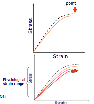 <ul><li><p>stress = force per unit area</p></li><li><p>strain = percentage of elongation</p></li><li><p>stiffness = resistance to deformation</p></li><li><p>elastic region = measure of elasticity</p></li><li><p>yield point = point at which the structure will no longer return to its original shape</p></li><li><p>plastic region = structure deformed and moving towards failure.</p></li><li><p>fatigue = progressive decline in mineral properties over time</p></li></ul><p>cyclical loading of quite intense loads may steadily weaken the bone</p><ul><li><p>we can predict with race horses, how many steps they need to take before obtaining a stress fracture - look at strain vs number of cycles to failure</p></li><li><p>the higher intensity of training, the less time it will take to reach that dangerous point.</p></li></ul><p></p>
