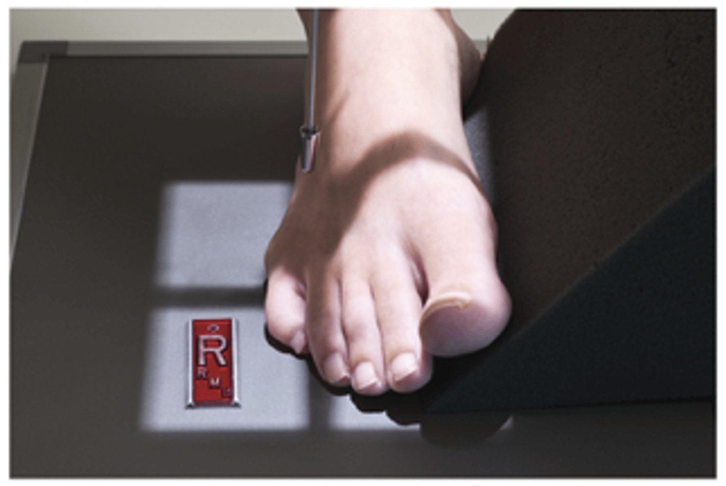 <p>What projection is this?</p>