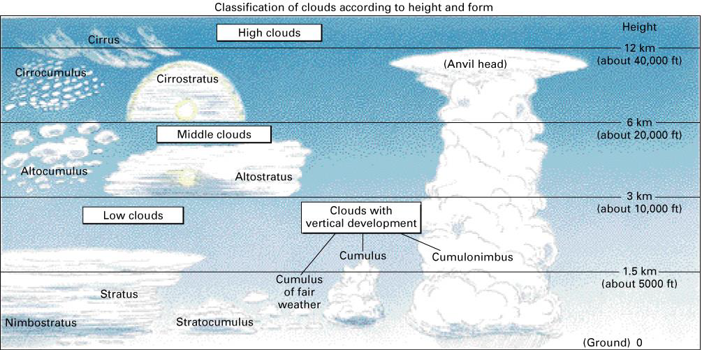 <p>low:</p><ul><li><p>stratus</p></li><li><p>statocumulus</p></li></ul><p>mid:</p><ul><li><p>altocumulus</p></li><li><p>altostratus</p></li></ul><p>high:</p><ul><li><p>cirrostratus</p></li><li><p>cirrus</p></li><li><p>cirrocumulus (extra!)</p></li></ul><p>cumuliform:</p><ul><li><p>cumulus</p></li><li><p>cumulinimbus</p></li><li><p>mamatus</p></li><li><p>funnel clouds</p></li></ul><p></p>