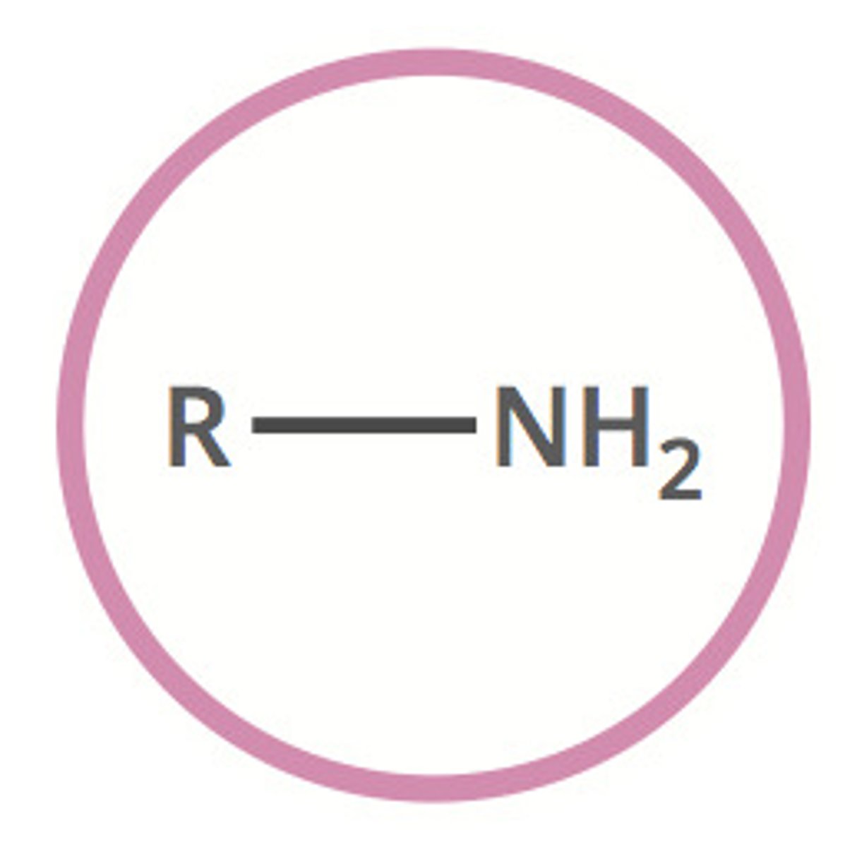 <p>Carbon connected to nitrogen which is bonded to two hydrogens</p>