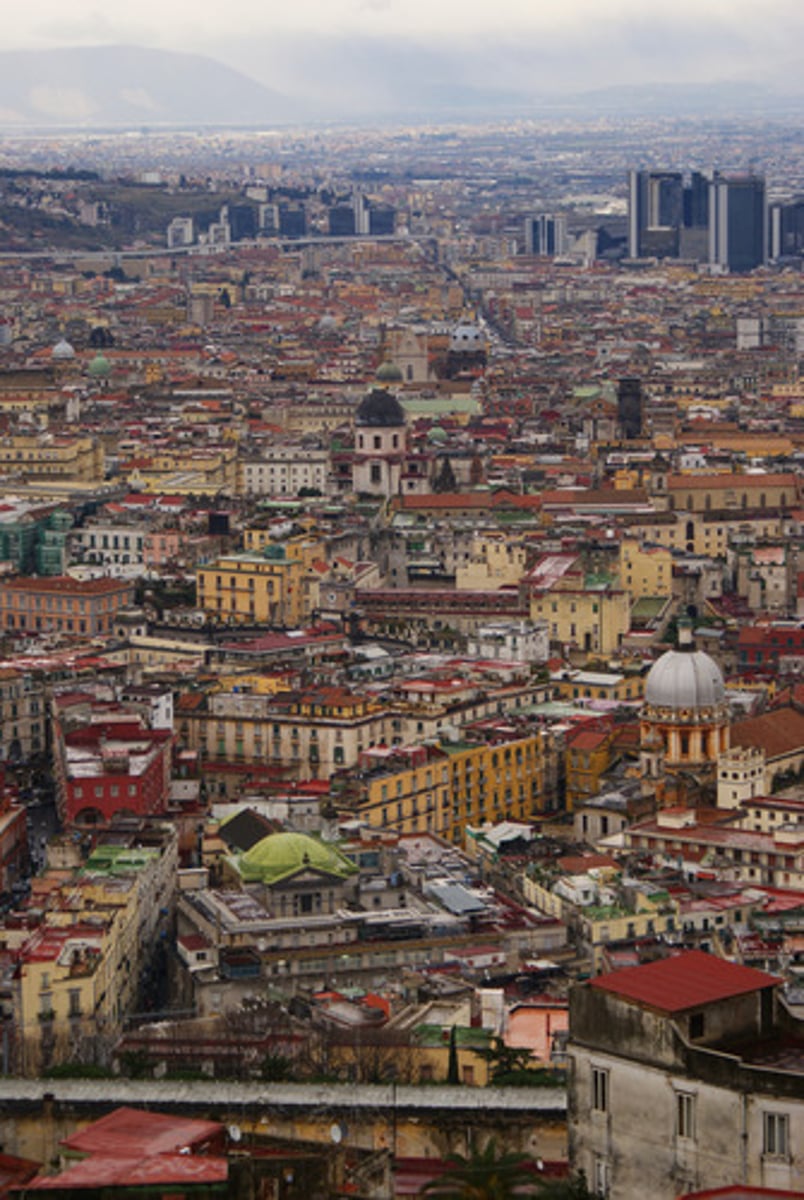 <p>urban area</p>