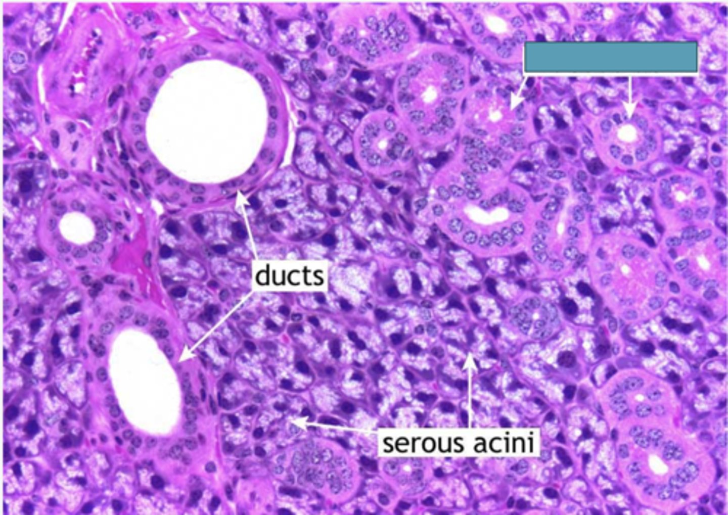 <p>Identify the structure</p>