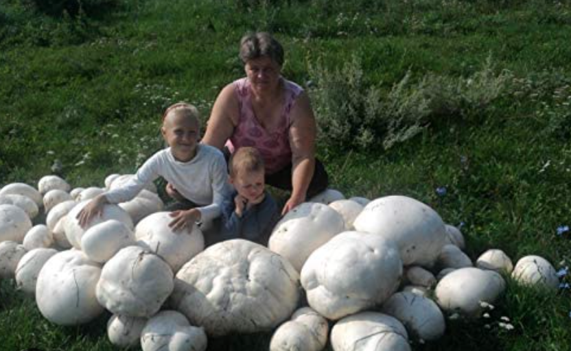 <p>What is this?</p>