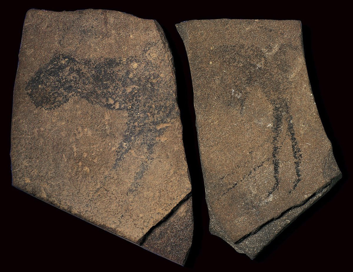 <p>Apollo 11 Stones. Namibia. c. 25,500-25,300 BCE. Charcoal on Stone</p>