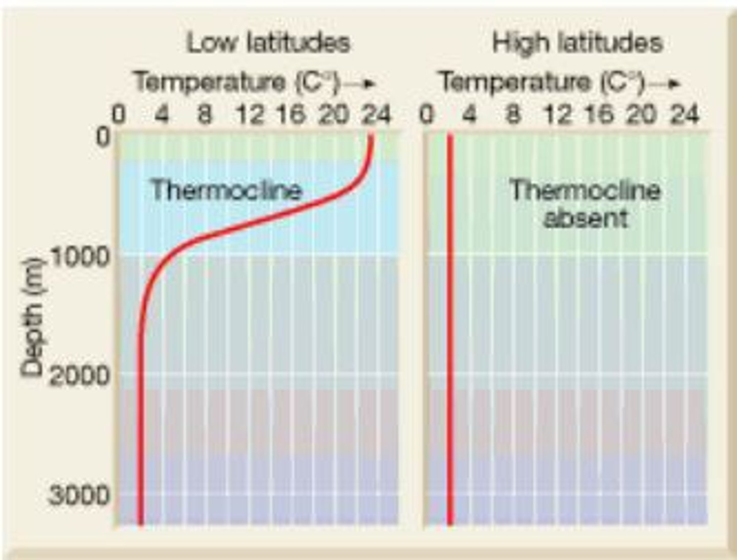 <p>a layer in a large body of water, such as a lake, that sharply separates regions differing in temperature, so that the temperature gradient across the layer is abrupt.</p>