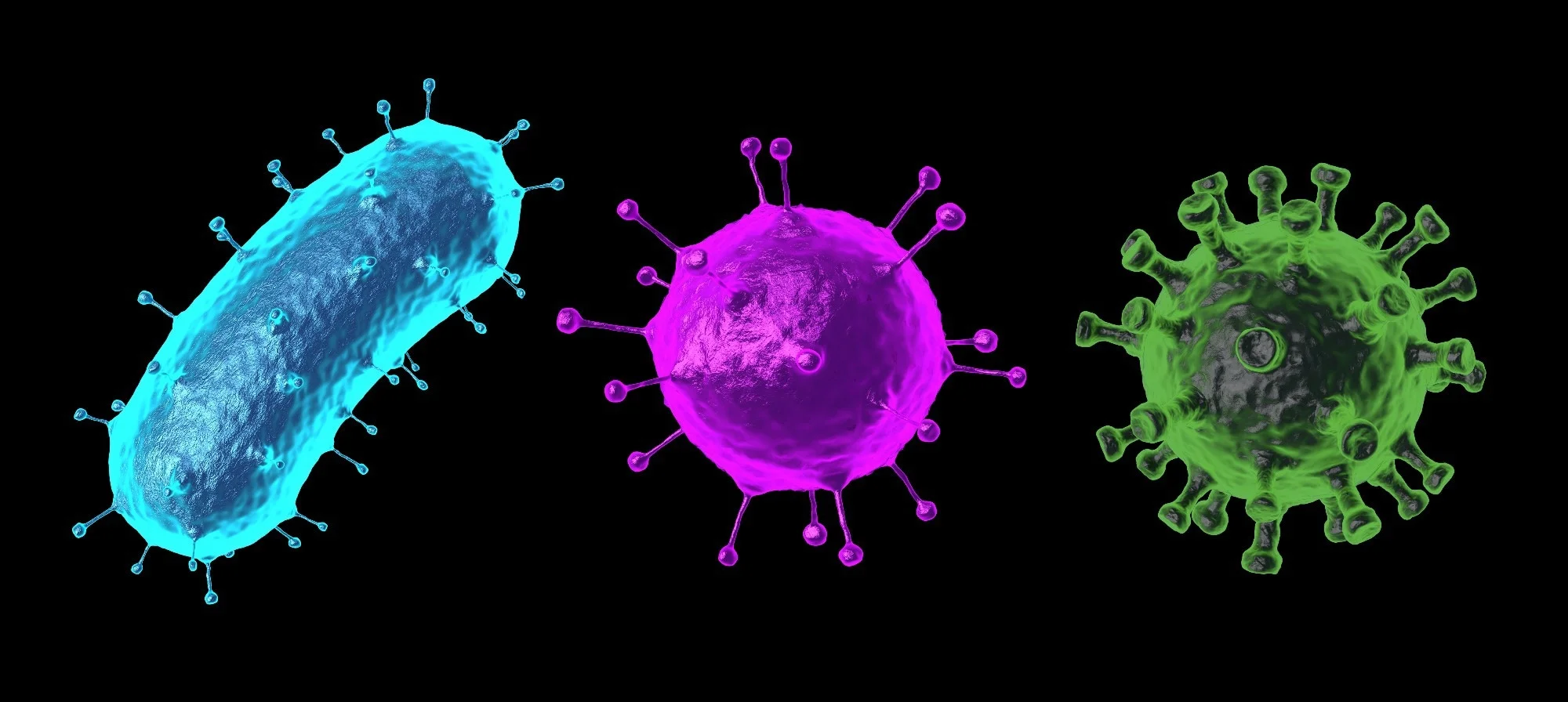 <p>The transformation of <span style="color: blue"><strong><em><u>normal to neoplastic cells</u></em></strong></span> is caused by what types of agents (general groups (2) and specific agents)?</p>