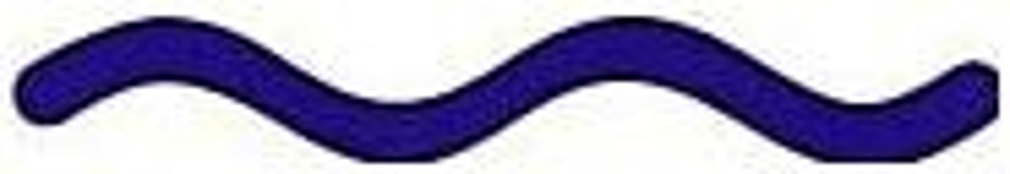 <p>spiral shaped cell</p>
