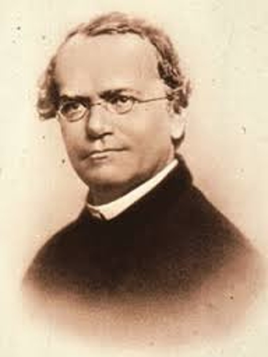<p>Monk who discovered the basics of how traits get passed on using Pea Plants.</p>