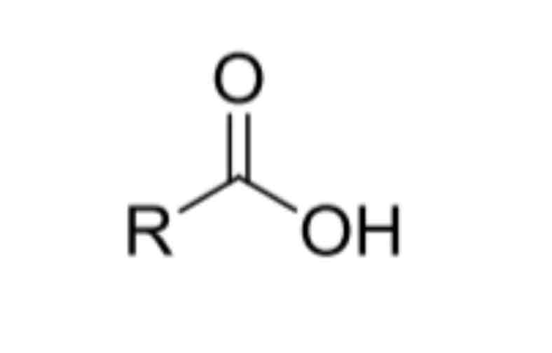 <p>Carboxylic Acid Hydrogens</p>