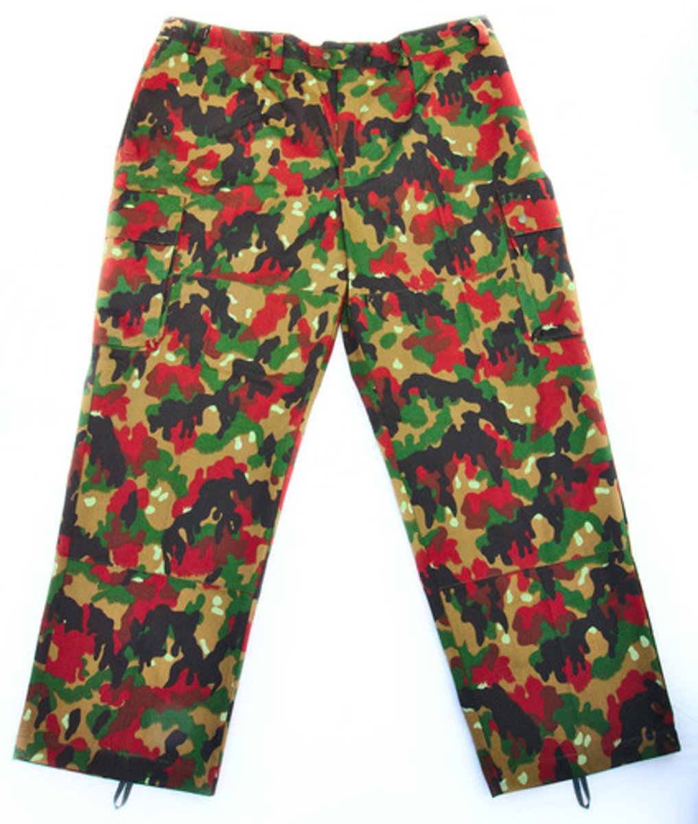 <p>el pantalón</p>