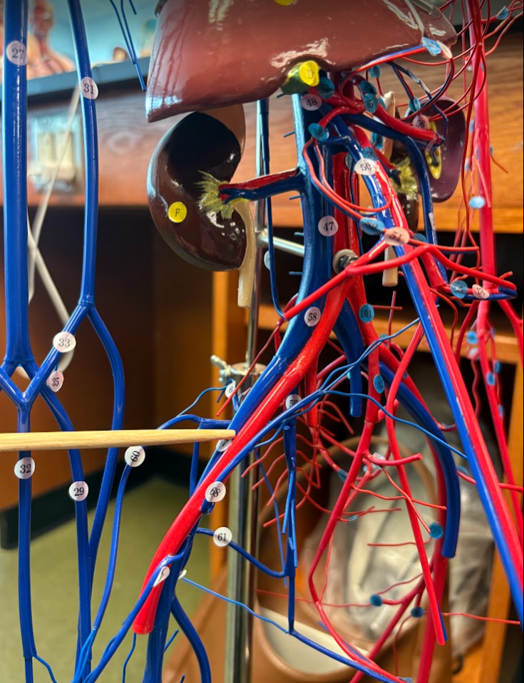 <p>What is this?</p>