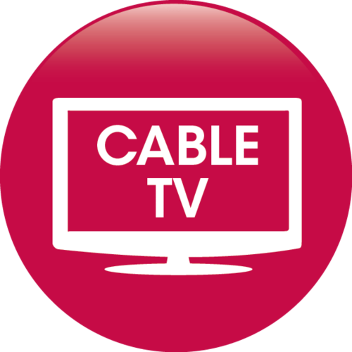 <p>cable television</p>