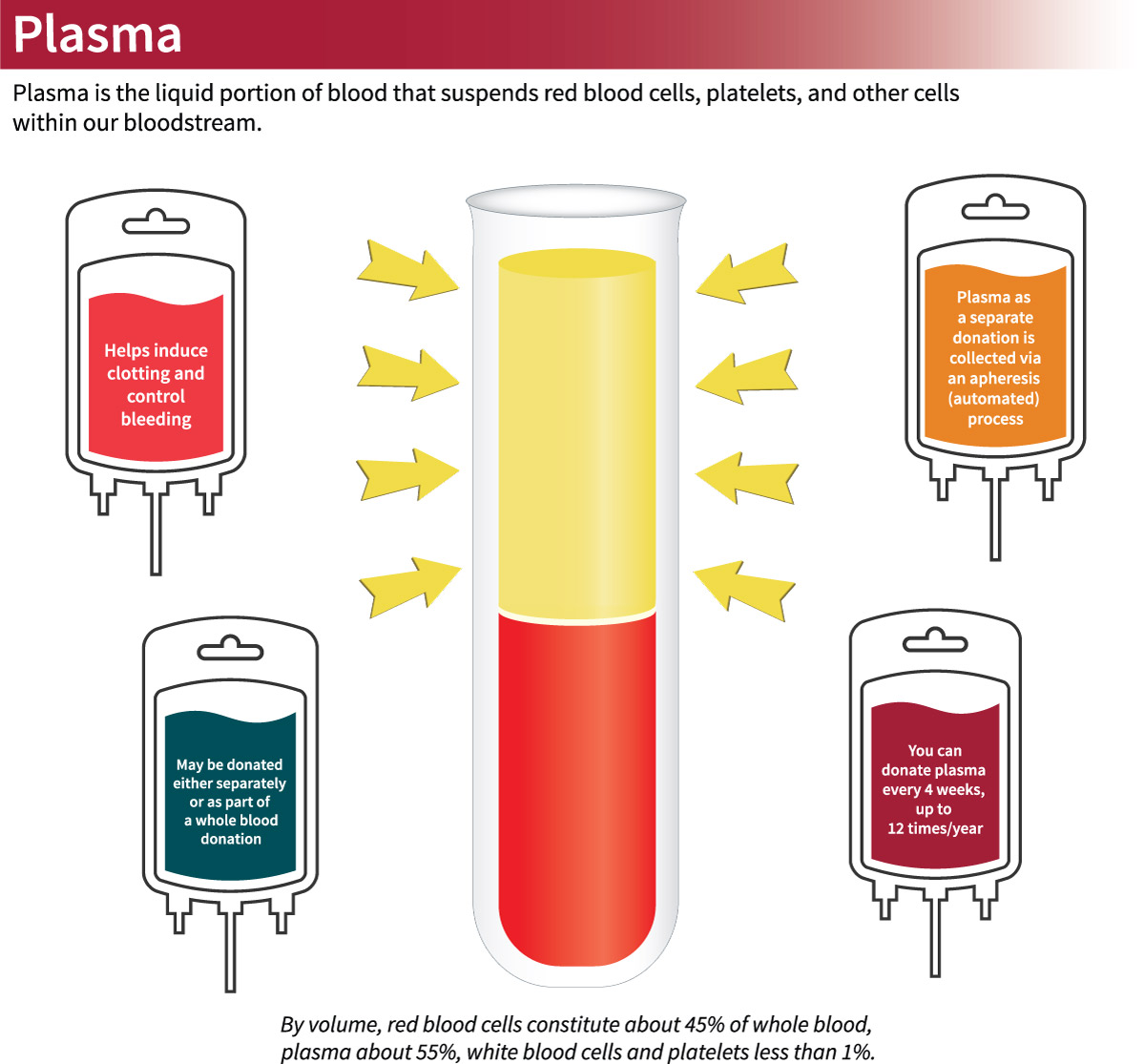 <p>Apheresis</p>