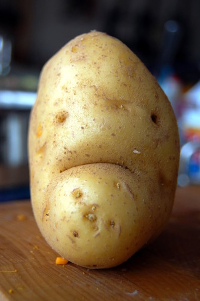 <p>potato</p>