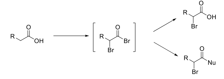 <p>Hell-Volhard-Zelinsky (HVZ) Reaction</p>