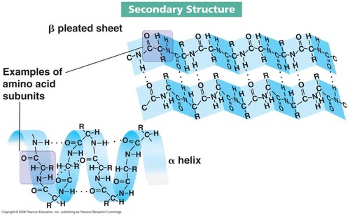 <p>The secondary structure includes Alpha Helix (spiral pattern) and Beta Pleated Sheets (zig-zag pattern).</p>