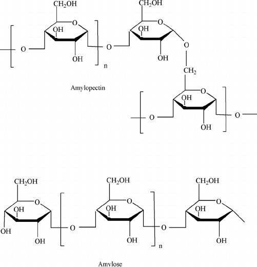 <p><strong>Branched polysaccharide</strong> containing alpha <strong>1-4</strong> and alpha <strong>1-6 </strong>glycosidic bonds</p>