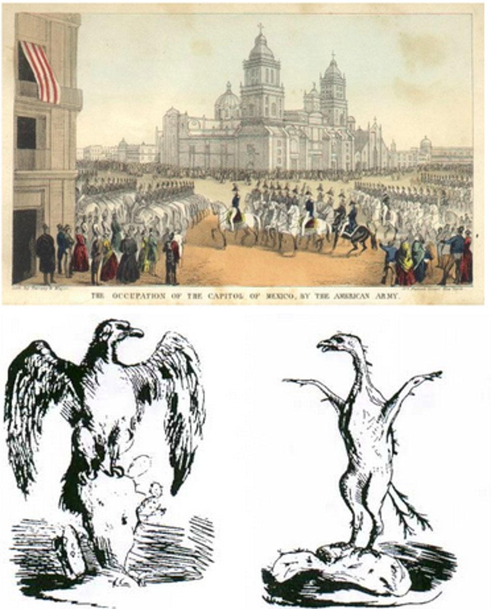 <p>Wide-ranging powers a president may exercise during times of crisis or those powers permitted the president by Congress for a limited time.</p>