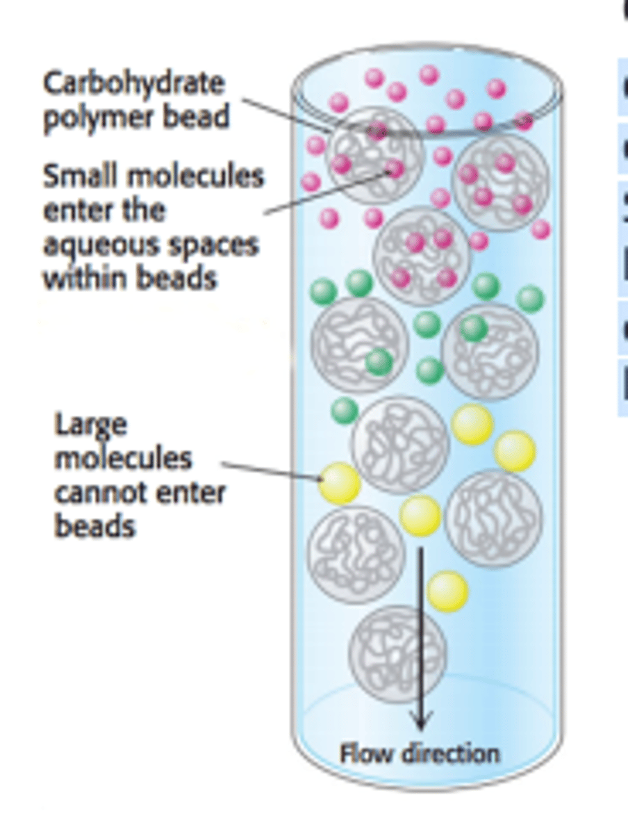 <p>Gel-filtration chromatography (also known as size-exclusion chromatography) is used to separate molecules by size rather than polarity. </p><p>Smaller molecules can enter the porous gel beads, allowing them to elute later, while larger molecules that do not fit will elute faster. </p><p>The gel beads can be viewed as the stationary phase, while the solution in the column can be viewed as the mobile phase.</p>