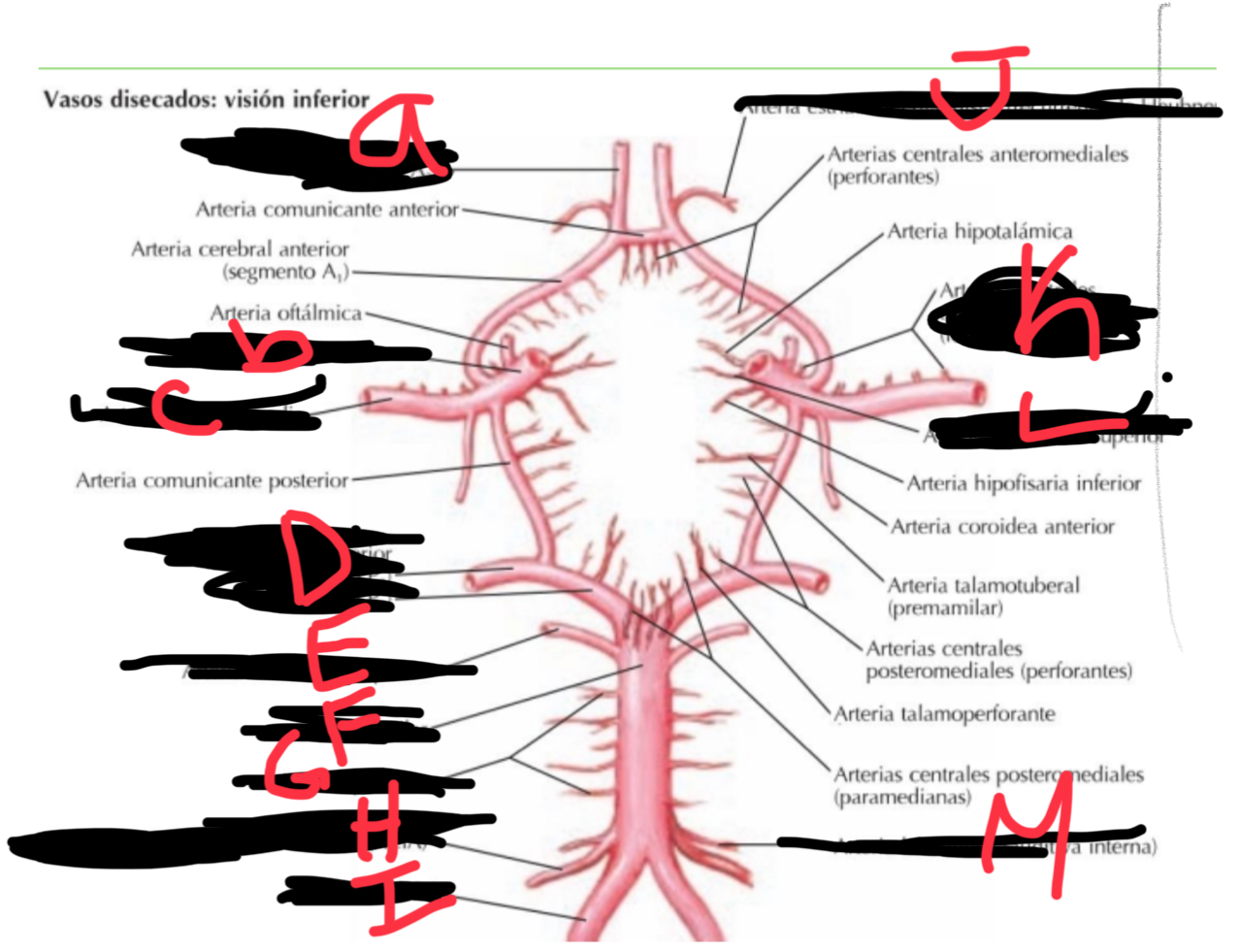 <p>estructura K</p>