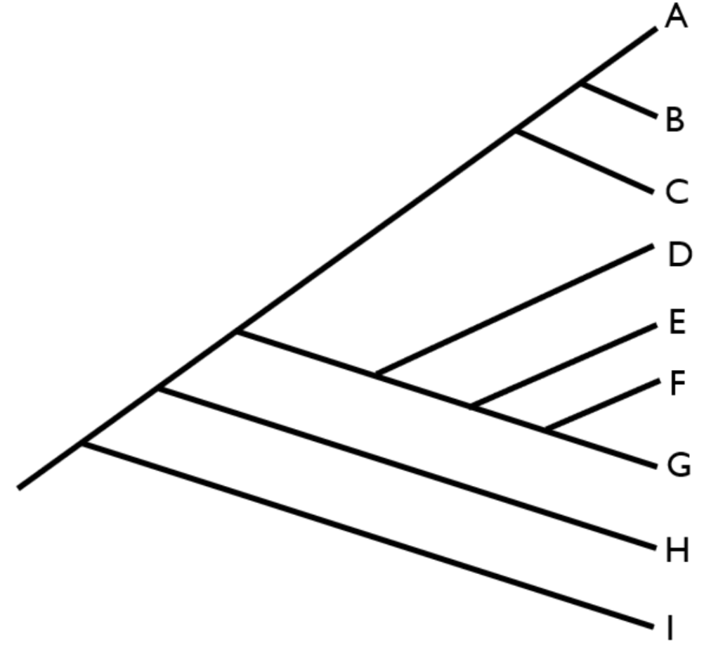 <p>If you grouped the following taxa together (D,E,F,G,H) that group would be described as </p>