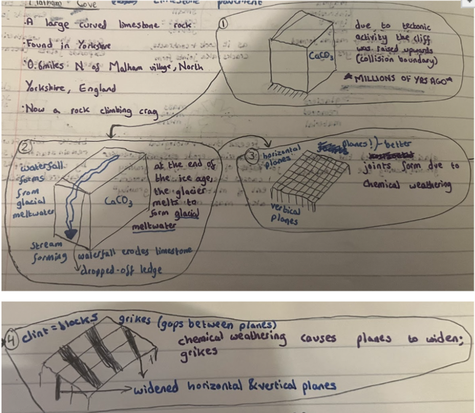 knowt flashcard image