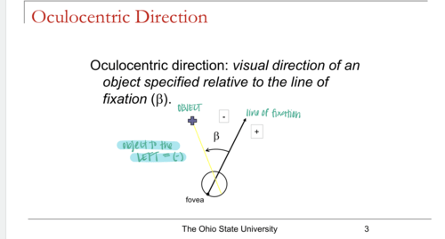 <p>What is the oculocentric direction?</p>