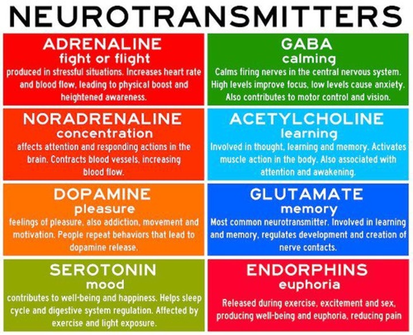 <p>Acetylcholine, amino acids (e.g., GABA, glutamate), amines (e.g., epinephrine, dopamine, serotonin), purines (e.g., adenosine, ATP), gases (e.g., nitric oxide, carbon monoxide), and neuropeptides (e.g., endorphins, CCK).</p>