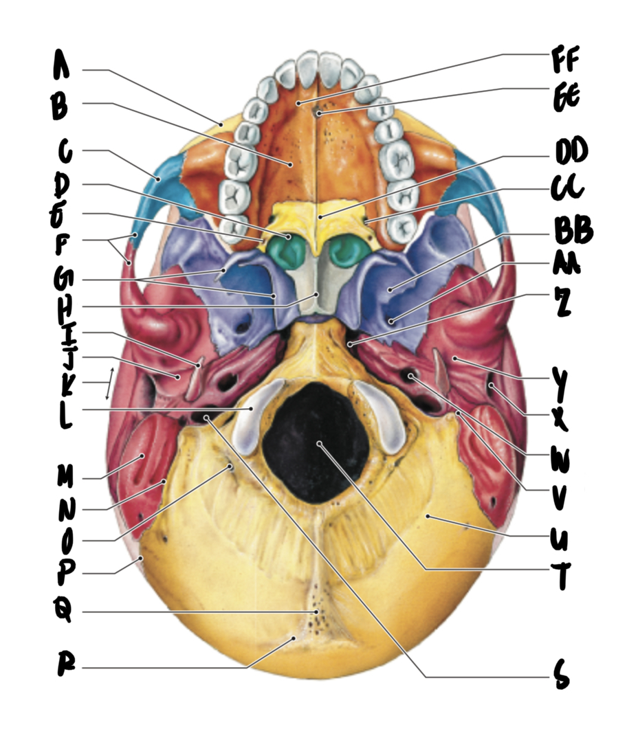 <p>Y</p>