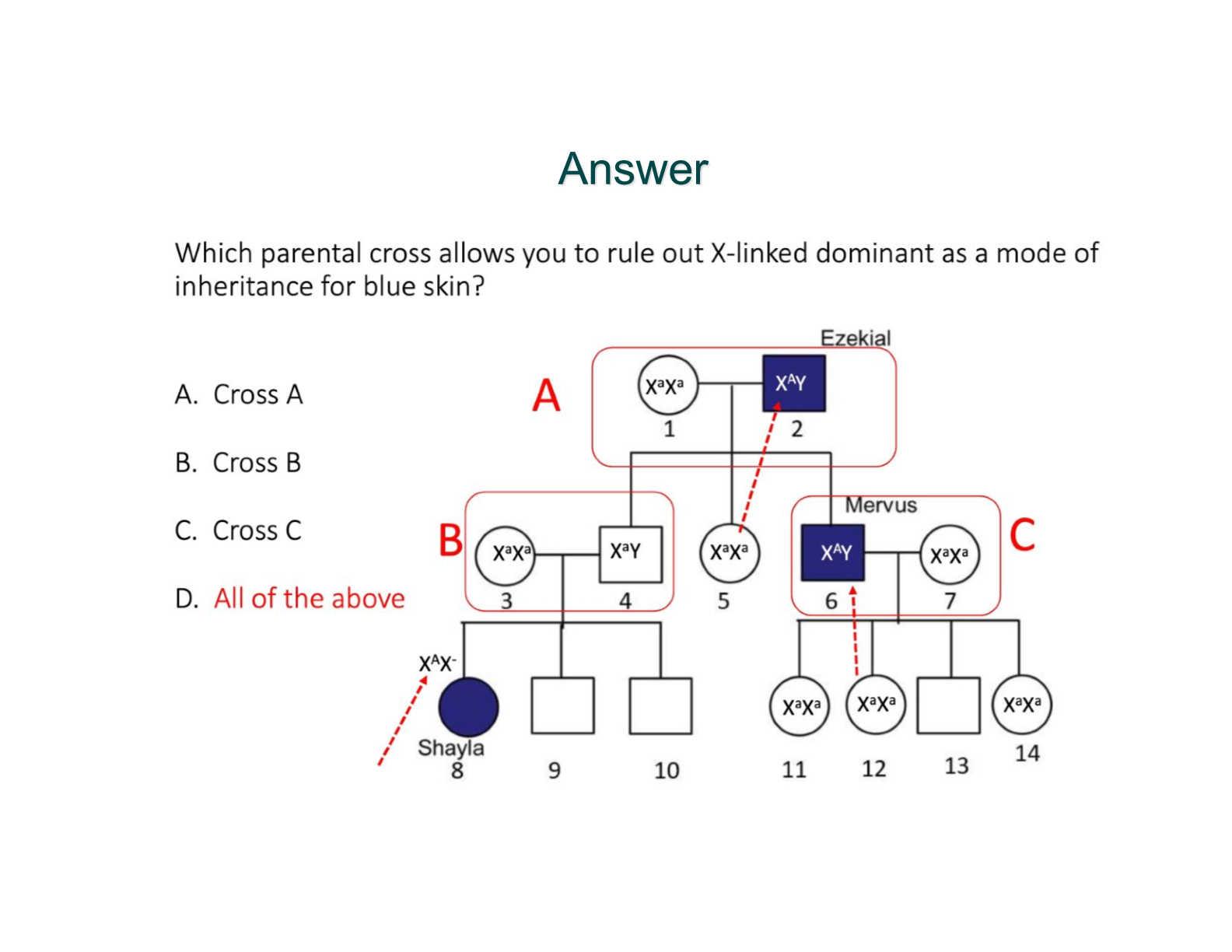 knowt flashcard image