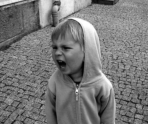 <p>behaviour</p>