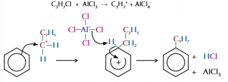 <ul><li><p>Used to add alkyl group to benzene ring</p></li><li><p>Haloalkane and halogen carrier used</p></li></ul><p></p>