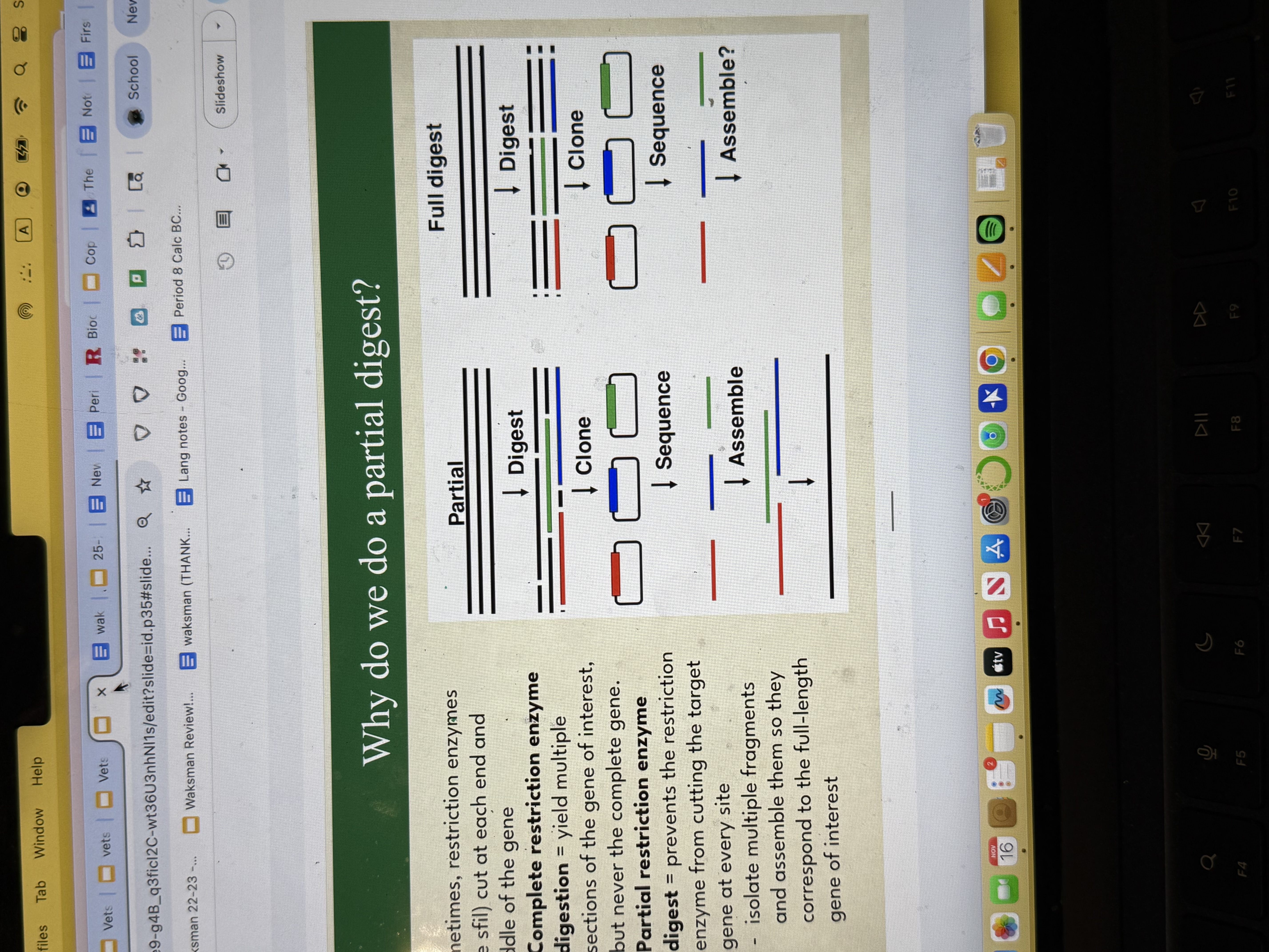 <p>Partial digest</p>